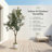 6FT Artificial Olive Tree in White Planter, Realistic Faux Indoor Plant for Living Room, Entryway & Office Decor-874934772-884985899