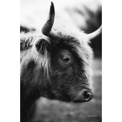 " Fiona " by Dakota Diener