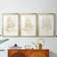 Gilded Algae IV - reproduction encadrée sur mesure de qualité supérieure - 3 pièces-113986340-113986351