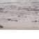 Mackensy Abstract Ivory Power-Loom Area Rug