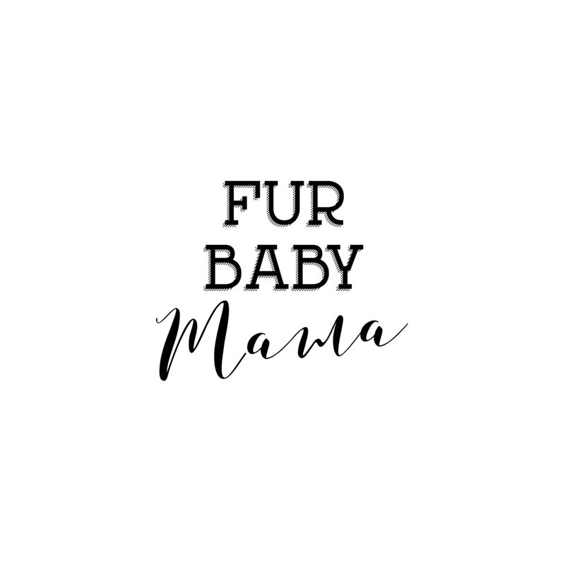 Fur Baby Mama by Amanda Murray - Wrapped Canvas Print, 30.48 cm H x 30.48 cm W