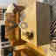 Photos des clients 1 de 1