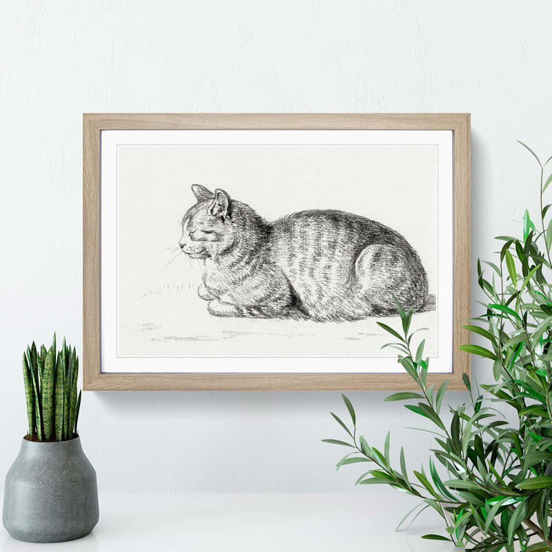 Peaceful Cat by Jean Bernard - Framed Print, 27cm H x 36cm W x 2cm D, Oak Framed