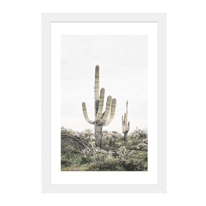 « rosé timide cactus », photographie, H 24 po x l 16 po x P 1 po, Papier avec cadre blanc