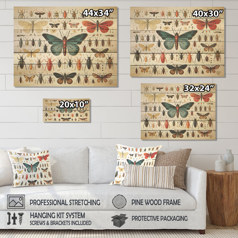 Insectes et insectes orange et bleus - Insectes et insectes sur bois, H 34 po x l 44 po x P 0,78 po