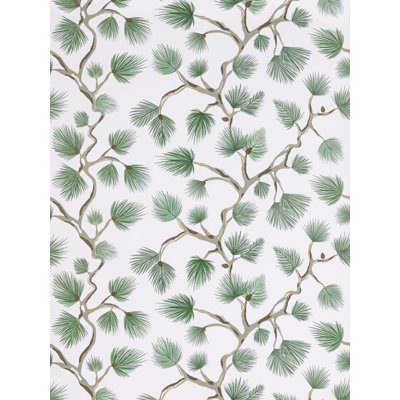 Pignoli Wallcovering