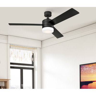 Franchek 52'' Ceiling Fan with LED Lights