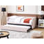 Airianna Upholstered Daybed with Trundle-1103268645