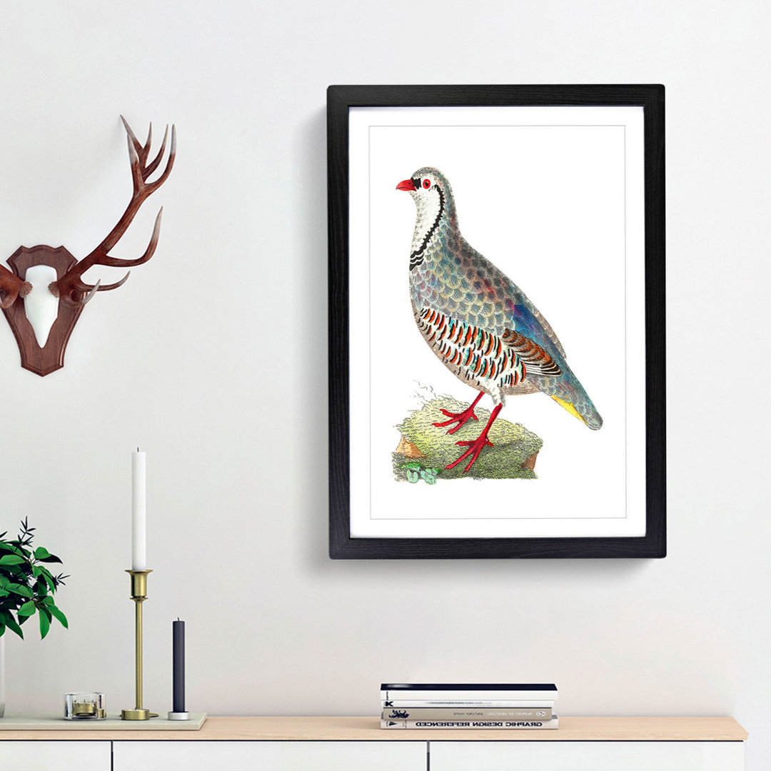 Red Partridge by George Shaw - Framed Print