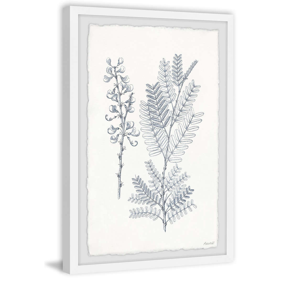 'Indigo Botany Study VII' by Marmont Hill - Picture Frame Painting Print on Paper