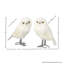 White owl 2-106869980
