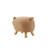 Hanneman 14.5 in. Novelty Kids Novelty Chair