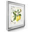 Linen Lemons I - ensemble de 2 impressions-1646023066-1646023059-1646023065