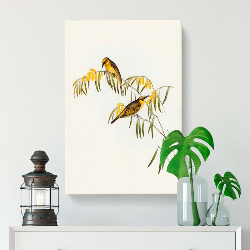 Plumed Honeyeaters by Elizabeth Gould - Wall Art, 50cm H x 35cm W x 3cm D, Wrapped Canvas