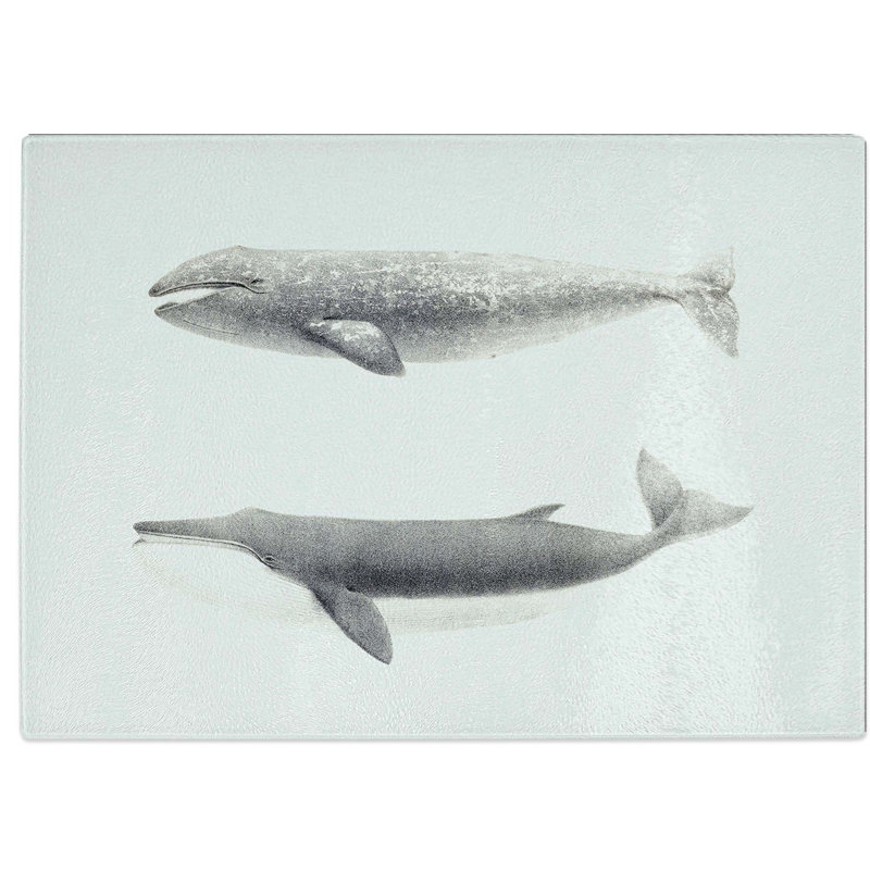 Tempered Glass Californian and Finback Whale Chopping Board, 28.5 cm W x 20 cm L