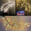 Anjenette LED Lighted Trees & Branches