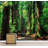 Peel & Stick Clear Border-88769485