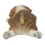 Aimant de bouledogue