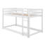 Floor Bunk Bed With Ladder-1738751484