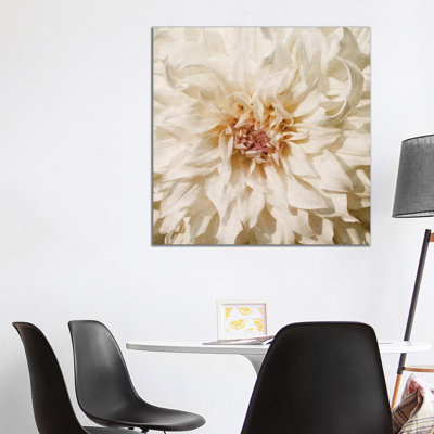 Wall Flower VIII by Alonzo Saunders - Wrapped Canvas Print