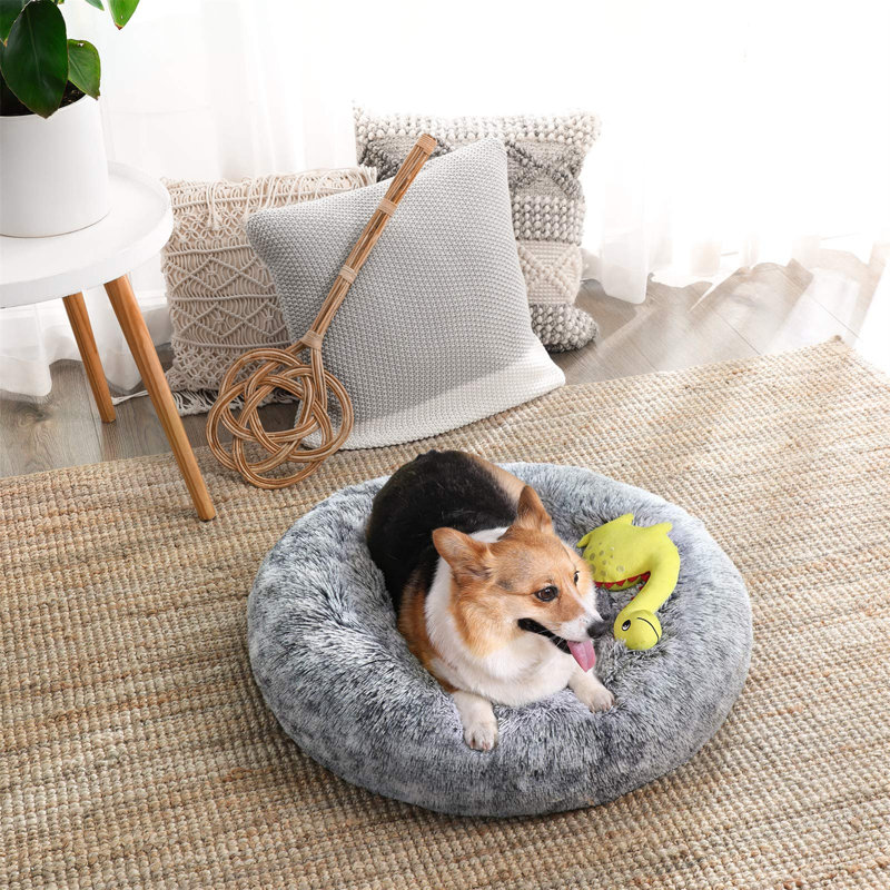 Beavercreek Orthopedic Suede Pet Bed