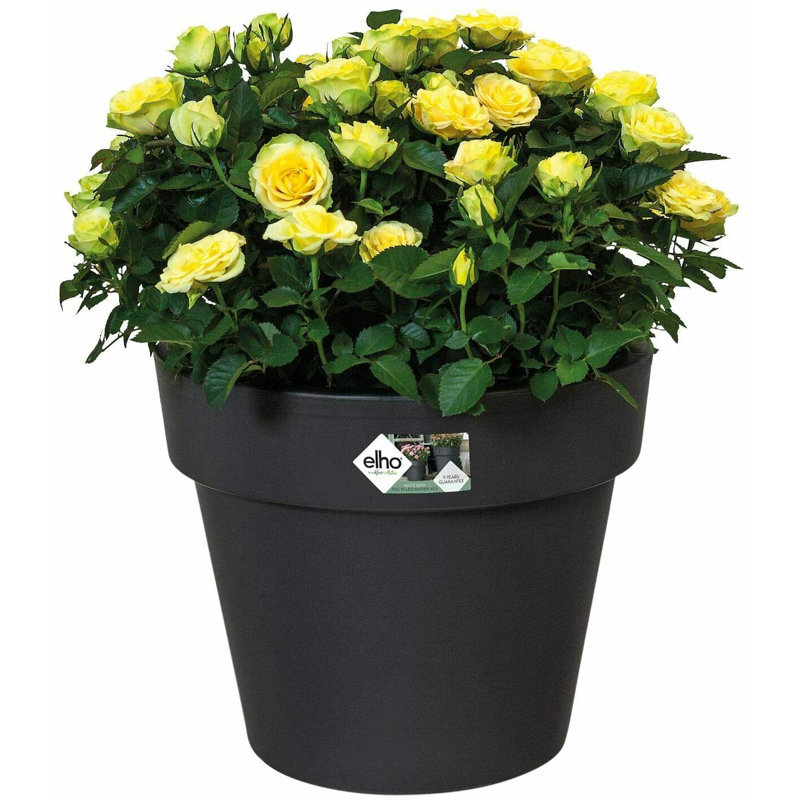 Pot Planter, 25cm H x 30cm W x 30cm D, Black