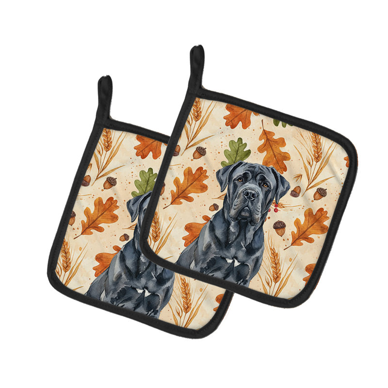 Paire de porte-casseroles noir napolitain