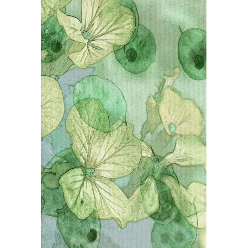 Mint Progeny III by Sharon Chandler - Wrapped Canvas Painting, 46cm H x 30cm W
