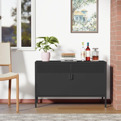 2 Door Metal Accent Cabinet by Latitude Run
