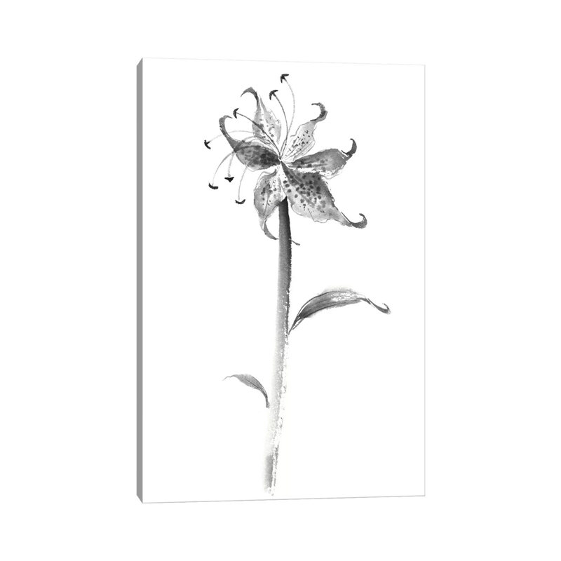 Ink Tiger Lily 1 Piece Wrapped Canvas Wall Art, 20.32 cm H x 30.48 cm W