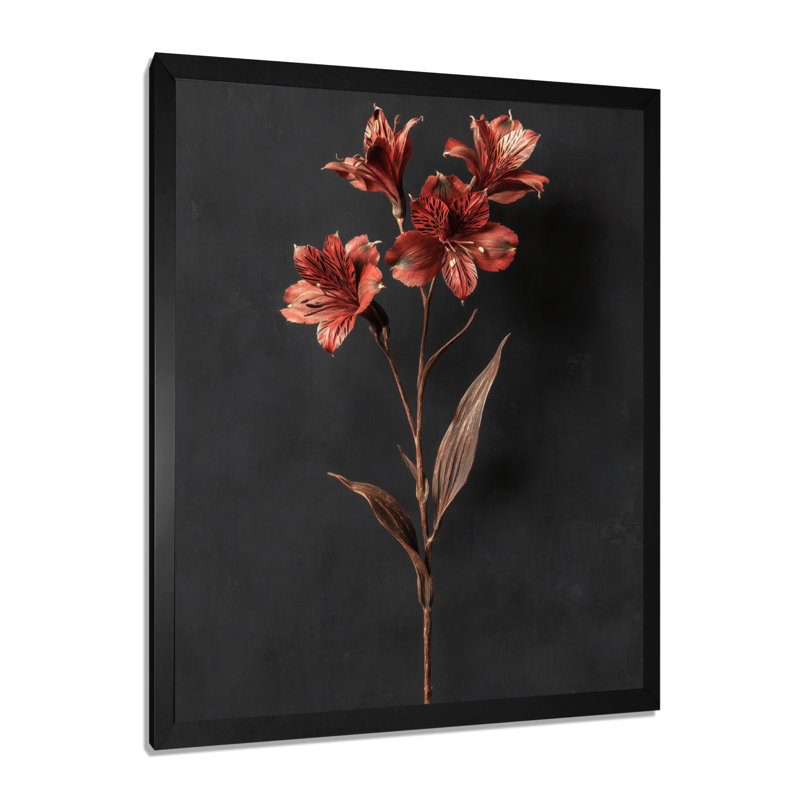«Delicate Peruvian Lily», reproduction d'art sur toile encadrée, art floral brun, Reproduction encadrée, Noir