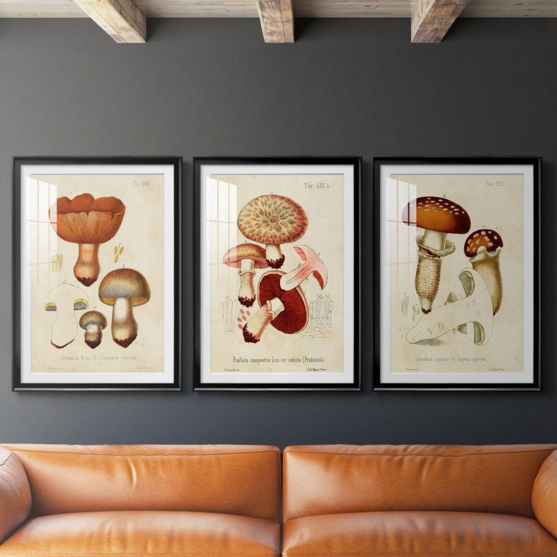 Champignon Variétés I - Impression sur mesure encadrée de qualité supérieure - 3 pièces, Noir, H 21 po x l 30 po