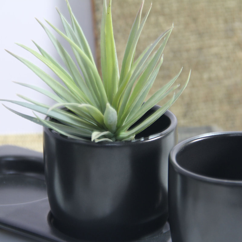 Ensemble de pot de fleurs d'intérieur en céramique fait à la main avec plateau, Noir