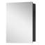 Mira L 30 po H Pharmacie rectangulaire en aluminium avec miroir, noir Tablettes 8 mm, encastrées / murales-1668834048-1668834051