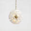 Capri 22 Light Chandelier