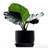 Pot Planter-1251128337-1251128348