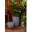 Pot Planter-1329107895