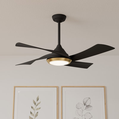 Vespucci 52'' Ceiling Fan with LED Lights