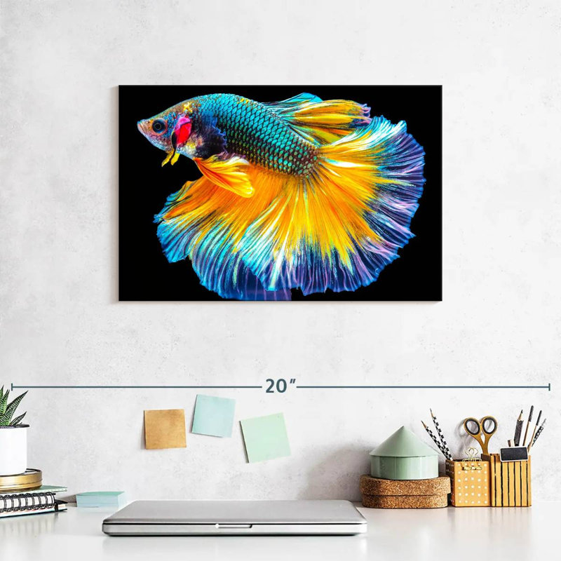 Brampt Multicolored Betta Fish, 8'' H x 12'' W