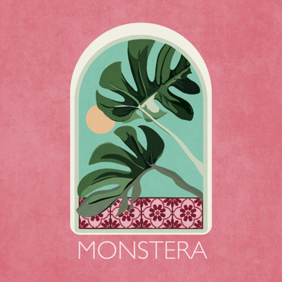 Sets Monstera