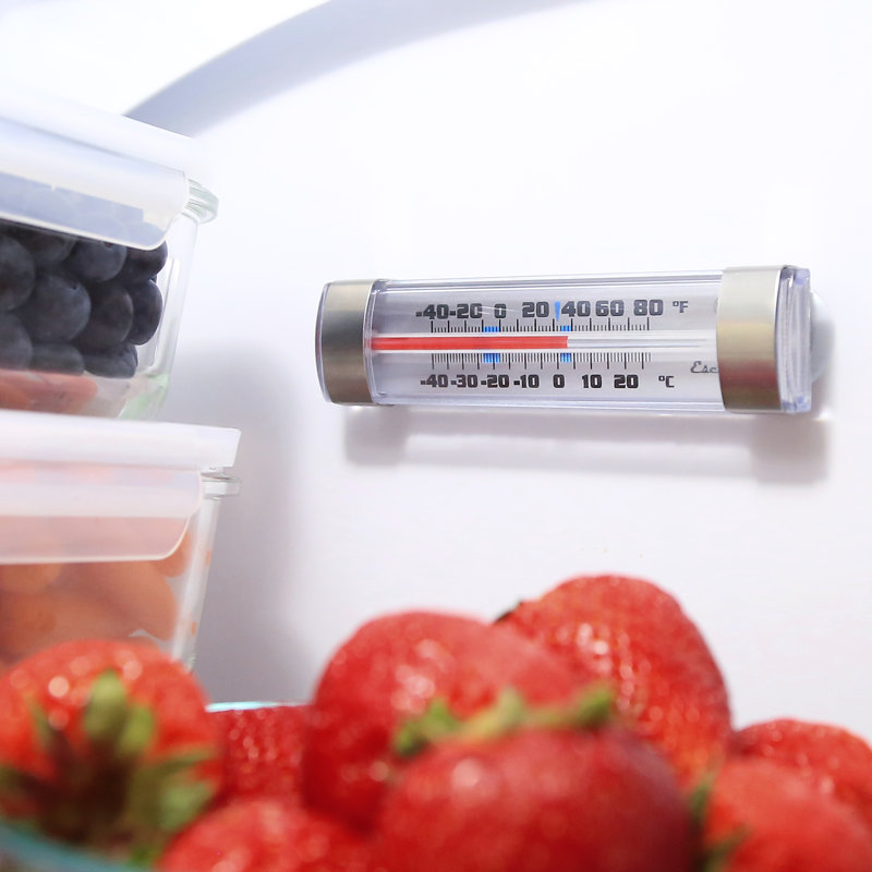 Thermomètre à viande pour réfrigérateur et congélateur à tube de congélateur Escali