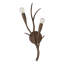 Palisades 2-Light Wall Sconce in Bark by Breegan Jane