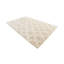 Tapis beige Parris