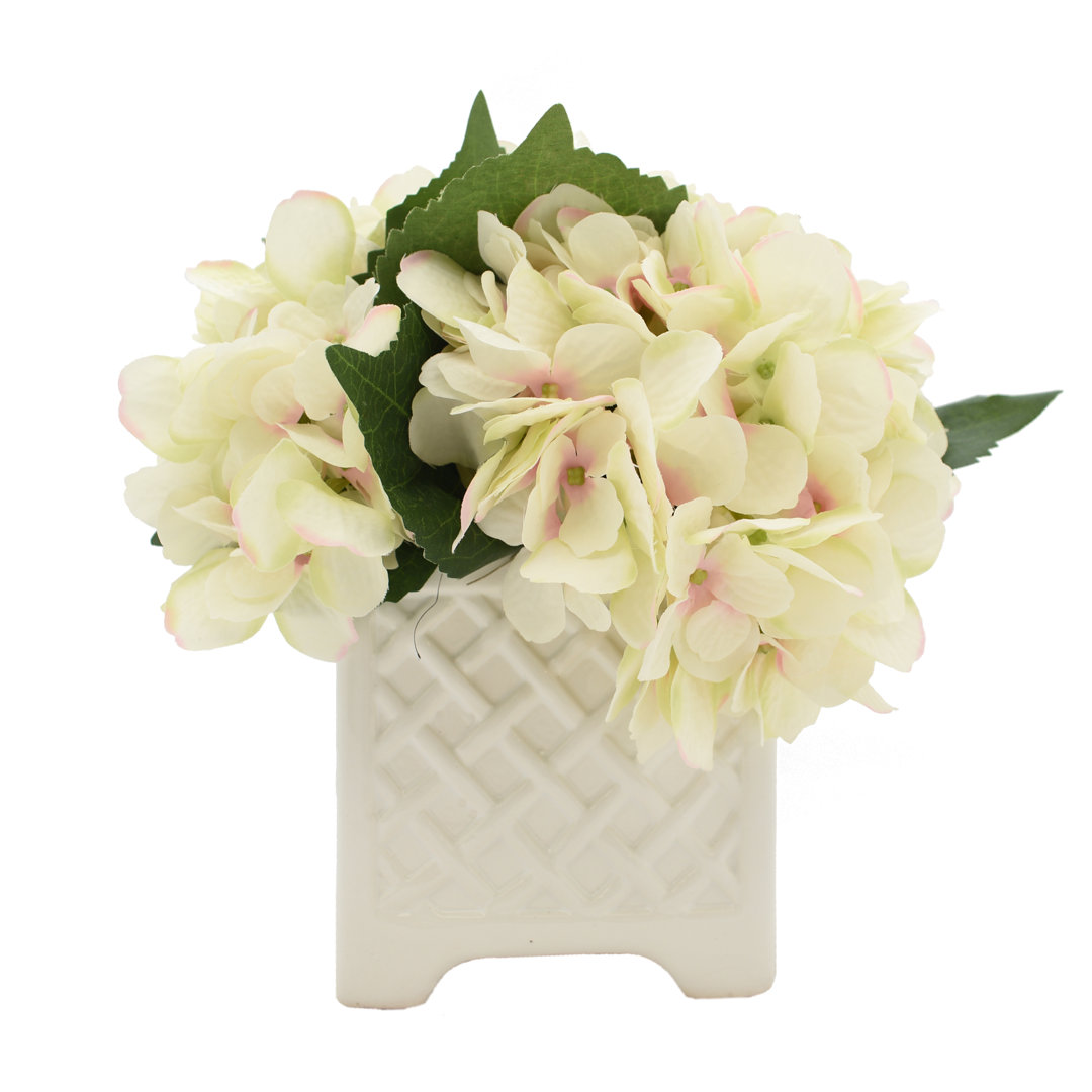 Hydrangea Arrangement in Planter Gracie Oaks Flower 
