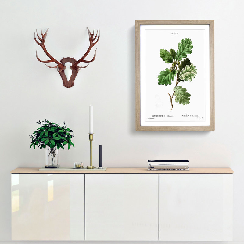 Oak Tree by Pierre-Joseph Redoute - Picture Frame Painting Print, 48cm H x 36cm W x 2cm D, Oak Framed