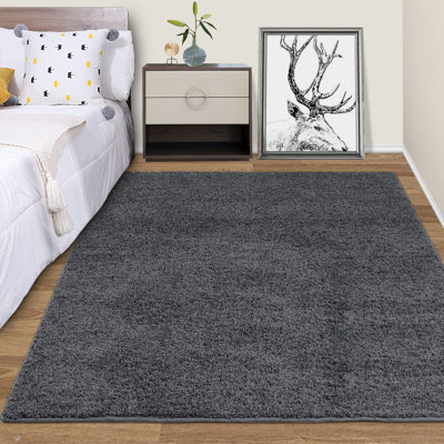 Tapis à poils longs moelleux, tapis à poils longs, grand tapis moelleux, pelucheux et moelleux, tapis à poils longs pour chambre à coucher, garçons, filles, dortoir, chambre de bébé, décoration intérieure, esthétique