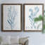 Antique Botanical In Blue I - ensemble de 2 peintures sur toile encadrées-513733338-513733339