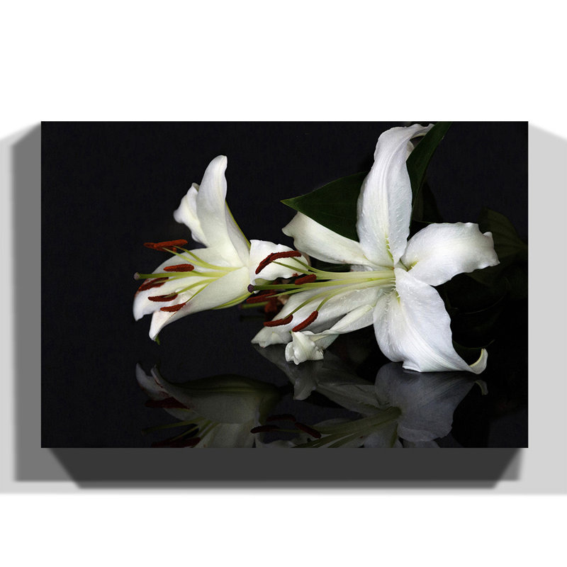 Wrapped Canvas Print, 40cm H x 60cm W