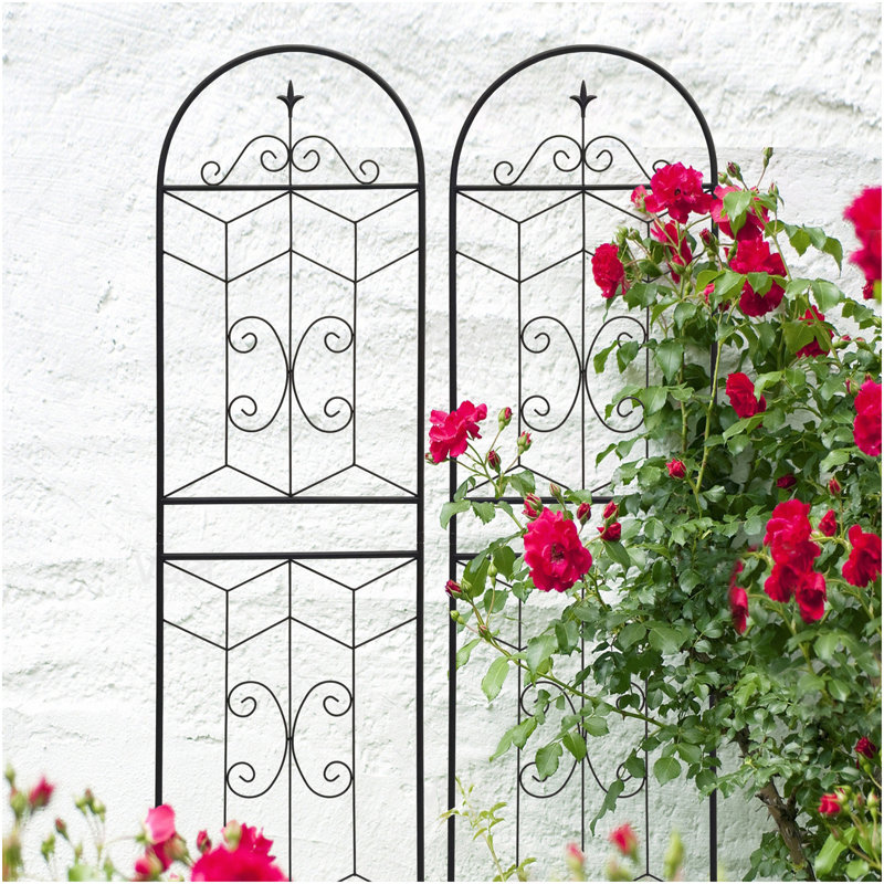 Ensemble de 2 treillis de jardin en métal 71 po x 19,7 po antirouille pour plantes grimpantes, 71" H x 19.7" W x 0.01" D