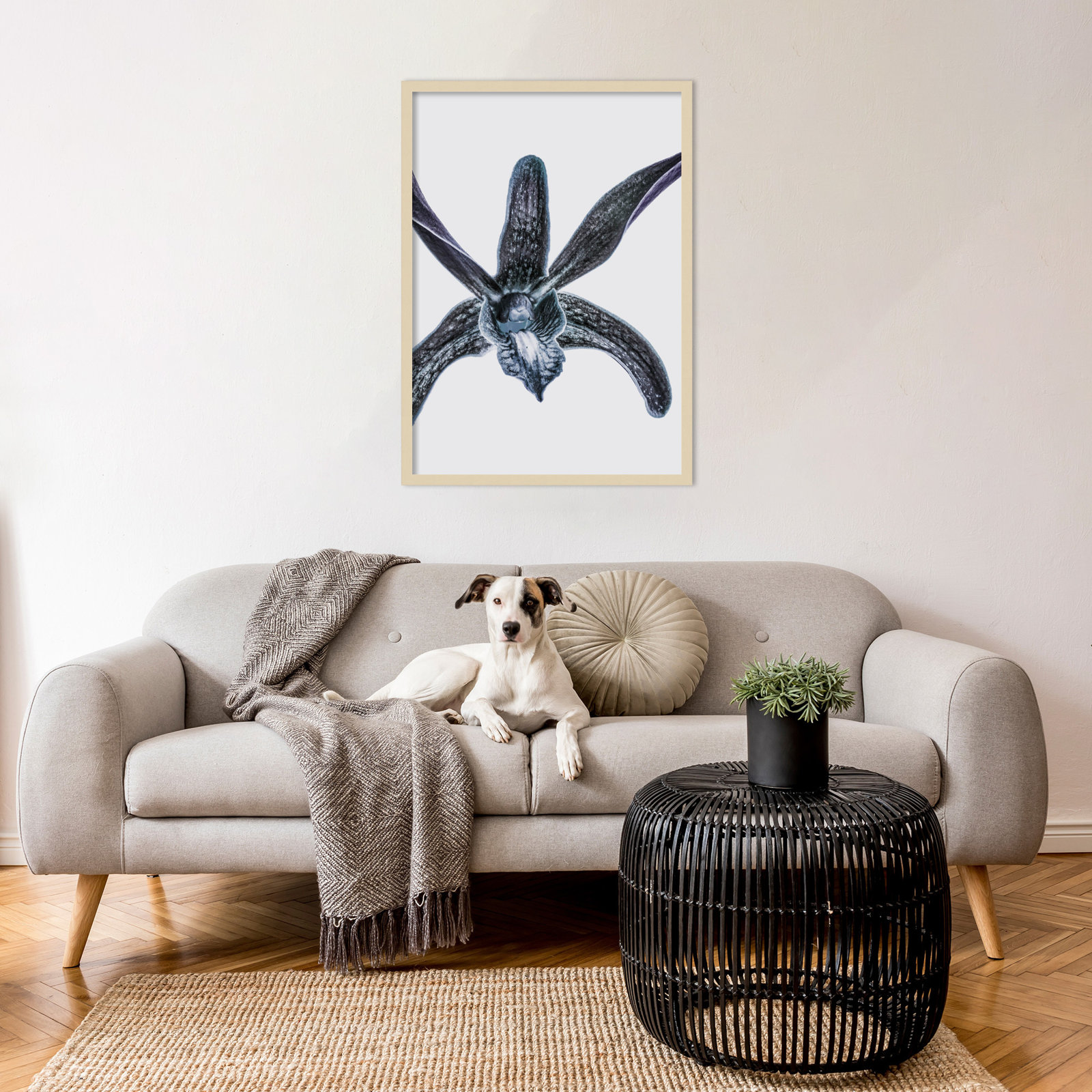 Parkerfield "Orchid" Print by Shot by Clint, Brown, 33" H x 24" W